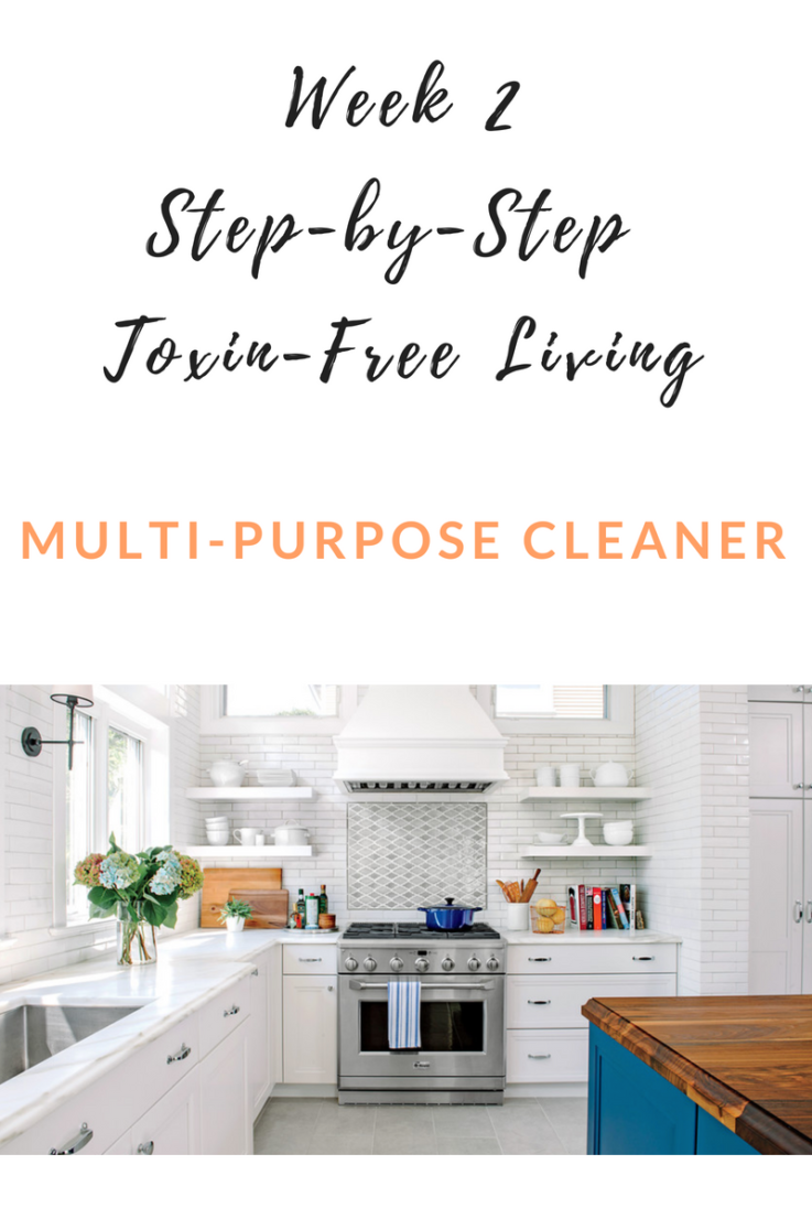 Step-by-Step Toxin-Free Living Week 2 Multi-Purpose Cleaner (2).png