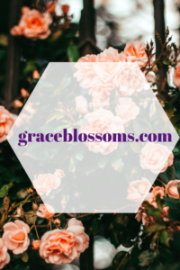 Grace Blossoms Blog
