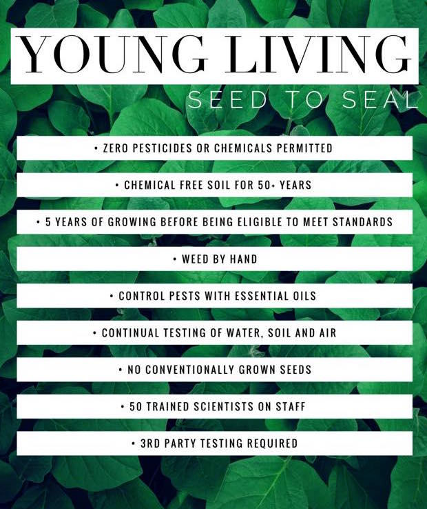 With oil companies popping up like crazy and cheap oils lining grocery store shelves and social media posts, why Young Living?