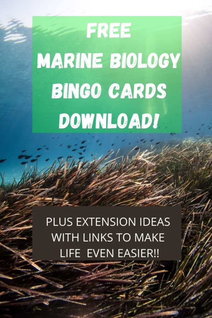 This free download for Marine Biology Bingo Free Printables pairs perfectly with homeschool or classroom lessons.