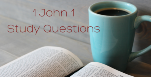 Free download 1John 1 Study Questions